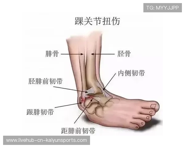 中国足球运动员伤病预防技术，足球运动员损伤